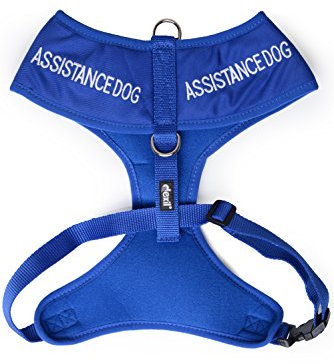 ASSISTANCE DOG Colour Coded Non-Pull Front and Back D Ring Padded and Waterproof Vest Dog Harness PREVENTS Accidents By Warning Others Of Your Dog In Advance (Medium)