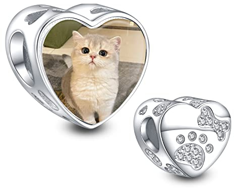NINGAN Personalisierte Foto Charm Perlen 925 Sterling Silber Katzen und Hunde Baby, Familie Fotos Nachkommenschaft Personalisierte Charm Geschenke für Familie und Freunde