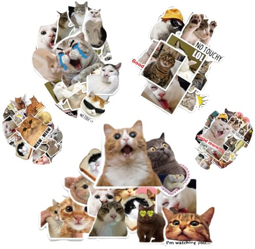 HAMKU 100 Stück lustige Katzen Meme Sticker - Wasserfeste Aufkleber für Laptop, Mobiltelefone, Skateboard, Gepäck & mehr - Lustig & Süß, Mehrfarbig, Tierdruck, Outdoor