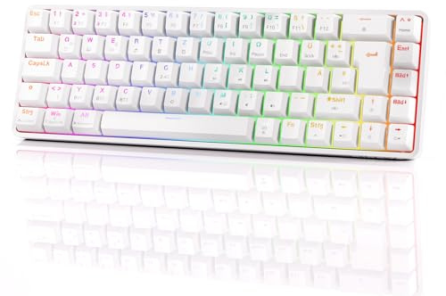 Dierya DK68 Kabellose Gaming Tastatur Deutsches Layout-QWERTZ,Bluetooth/2.4GHz/USB-C 68 Tasten RGB Beleuchtung Mechanische Tastatur,Clicky Blauer Switch,Weiß