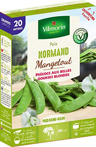 Vilmorin Pois Normand Boite série 20m, Vert