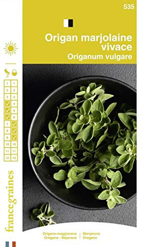 France Graines - Origan Marjolaine Vivace