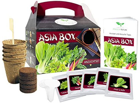 Magic of Nature Asia Box - Anzuchtset - 5 Kräuter und Gemüse Samen für die Asiatische Küche - Zum Selberzüchten oder zum Verschenken