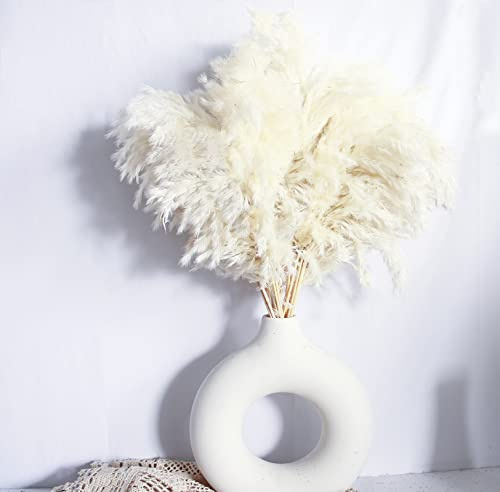 White Pampas Grass for Home Decor - Elegant Boho Decor - Premium Quality Pampas Grass Stems - Perfect for House, Nursery, Western, Wedding, Table, and Bohemian Decor (20PCS)