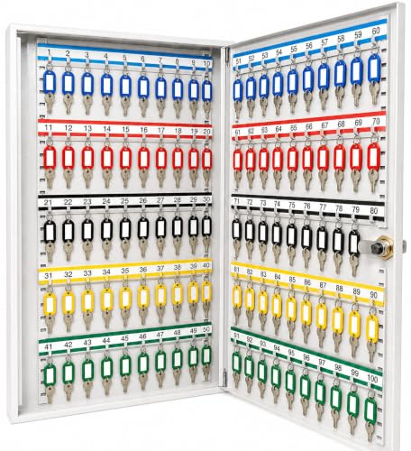 LEOMAR Armoire à Clés, Boîte avec 100 Crochets, Placard à Clés en Tôle d'acier, avec Barres à Crochets Réglables, pour Fixation Murale, Verrouillable, avec Matériel de Montage, 6 x 35 x 52 cm