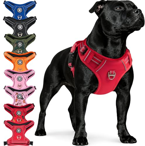 Reichstadt Pets Hundegeschirr – Verstellbares No-Pull Geschirr mit Griff & Reflektoren | Atmungsaktiv, Gepolstert & Strapazierfähig | Sicherheitsgeschirr für Mittlere Hunde 25RSP083 Red M