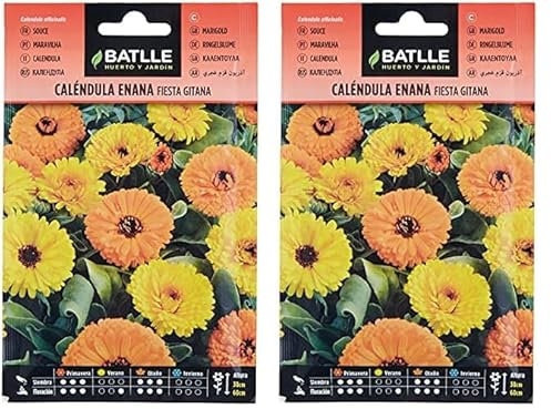 Calendula enana FIESTA GITANA (Paquete de 2)