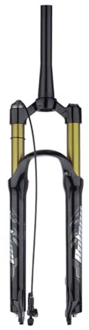 LPYDWZ Mountainbike Federgabel 26/27,5/29 Zoll, Scheibenbremse 1-1/8 Zoll Gerades Rohr MTB Vorderradgabel QR 9mm Fernverriegelung Federweg 120mm(Cone Tube B,29 inch)