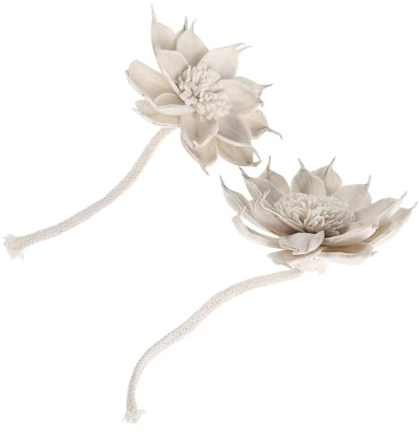 ERINGOGO Diffusore Decorativo senza 2 Pezzi con Bastoncini di Fiori Secchi in Paglia e Corda di Cotone Beige per Aromaterapia in Camere e Feste