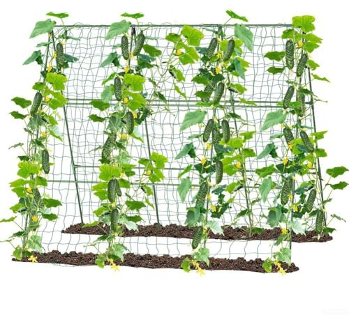 Kit de enrejado de marco de acero recubierto de plástico para plantas trepadoras, estructura duradera para soporte de jardín