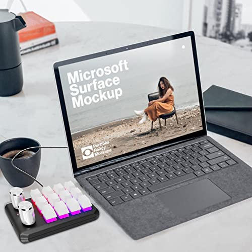 Youding Teclado mecánico de 1 mano, teclado profesional para juegos con 12 teclas macro integradas, teclado multifuncional portátil para juegos de PC, teclado USB ergonómico con botones, equipo de