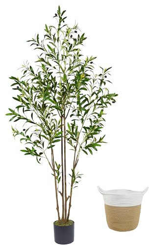 Warmplants 6ft (71”) Artificial Olive Tree, Tall Fake Olive Plant with Basket, Faux Olive Silk Tree for Mordern Indoor Home Livingroom Office Floor Corner Décor