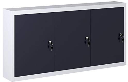 Tidyard Wandmontierbare Wand-Werkzeugschrank Mit 3 verstellbaren Fachböden,1 Lochplatte mit Eurolöchern,Werkstattschrank Mit 3 abschließbaren Türen,Aufbewahrungsschränke 120 x 19 x 60 cm,Metall