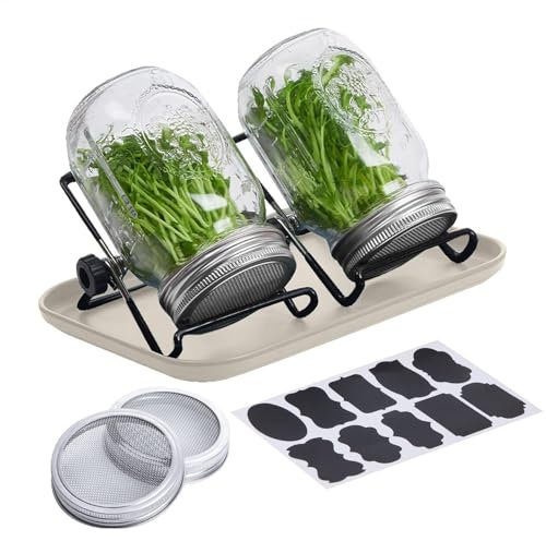 Sprossen-Anzuchtset – Keimglas-Set mit Edelstahlständer und Tablett | Einfache Anzucht mit Bio-Samen, Einmachglas-Keimset für Anfänger, gesundes Sprossen-Anzuchtset für den Sprossenanbau
