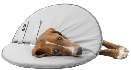 Trixie 19425 Schutzkragen, L: 46–49 cm/24 cm, grau