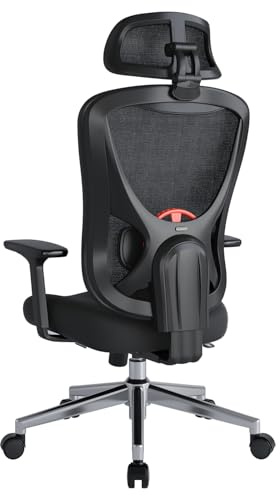 Eucladoceros M75 Ergonomic Office Chair with 125° Tilt Lock, Black | Computer Chair with Adjustable 3D Lumbar Support, Headrest & 4D Armrest, Wide Cushion, Desk Chair for Office & Home