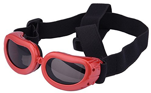 Outdoor Dog Sunglasses Anti-UV Eye Protection Goggles Waterproof Windproof Anti-Fog for Small Pet Puppy Cat (Red)