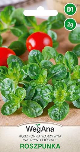 WegAna Semi di lattuga di agnello 2g, Semi di ortaggi robusti, Semi di ortaggi, Propagazione di semi, Semi per serra