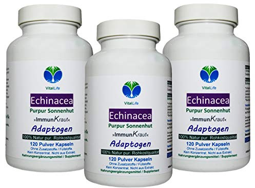 ECHINACEA ImmunFitKraut & Nerven ADAPTOGEN 360 (3x120) Pulver Kapseln - Immunsystem-Komplex - Abwehrkräfte - SEELISCHE Entspannung - Natur pur - OHNE ZUSATZSTOFFE. 27020-3