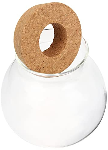 Glass Hydroponic Plant Vase with Cork Lid for Desk Display
