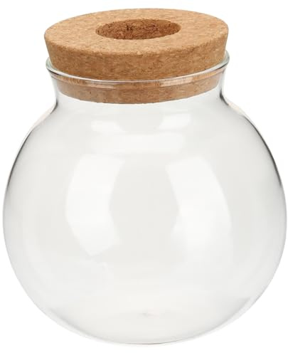 Levemolo Hydroponikvase aus Glas für Kleine Blumen und Frische Pflanzen Kreatives Design mit Holzständer zur Dekoration dem Schreibtisch im Büro oder Zuhause