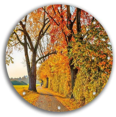 Wallario rundes Outdoor-Poster für Garten oder Balkon Herbstlicher Waldweg mit Buntem Laub, Motivbanner 30 cm Durchmesser