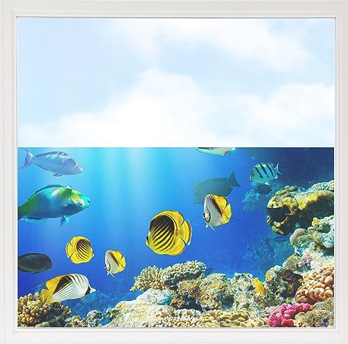 GRAZDesign Fensterfolie Blickdicht Sichtschutz, Sichtschutzfolie Fenster, Glastüren, Duschkabine, Milchglasfolie Bedruckt mit Motiv Unterwasser mit Fische und K 110x57cm