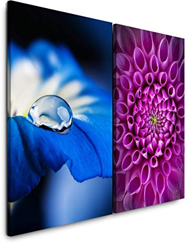 Sinus Art Tableau mural 2 pièces 60 x 90 cm Motif dahlia gouttes d'eau fleurs bleues colorées Méditation Macrophotographie