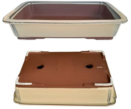 Genérico BIOMATA Maceta Bonsai Ceramica Rectangular 35x24.5x6.5 cm | Macetero Bonsai Grande Hecho en Japón | Tiesto con Agujero de Drenaje | Árbol no Incluido | Crema