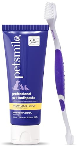 Petsmile Professional Pet Teeth Brushing Kit for Cats & Dogs - VOHC Accepted Toothpaste & Patented Toothbrush - Proven to Control Plaque & Tartar Calprox Formula (London Broil, 2.5 Oz)