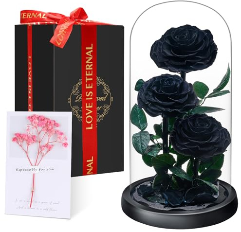 Rosa Stabilizzata Vera Regalo Donna in Cupola Vetro - Donna Regalo Compleanno, Rosa Eterna Idee Regalo Mamma Moglie Fidanzata Nonna, per San Valentino Anniversario Festa della Compleanno Natale