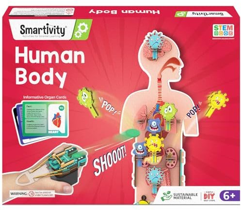 Smartivity Modell des menschlichen Körpers für Kinder von 6–12 Jahren, DIY-STEM-Wissenschaftsspielzeug für Kinder von 6, 7, 8, 9, 10, 11, 12 Jahren