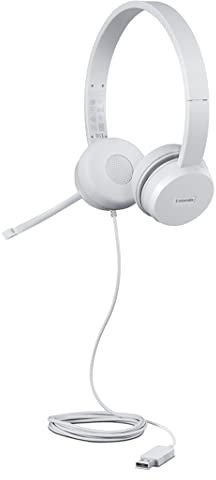 Lenovo 110 - Auriculares estéreo USB (Aislamiento de Ruido, Micrófono de Brazo Giratorio, Orejeras de Cuero y Espuma con Memoria) Certificación Work with Chromebook de Google - Gris Nube