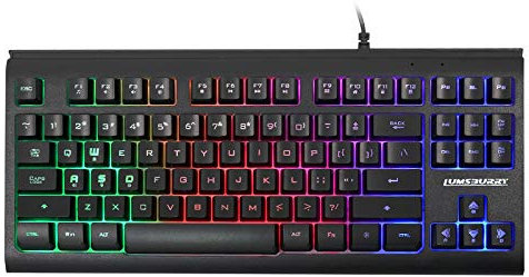Lumsburry Computer Keyboard(UK Layout), 88 Keys Compact Wired USB Keyboard with Rainbow LED Light Up Backlit for PC Gaming Laptop Teclado Gamers Office Working