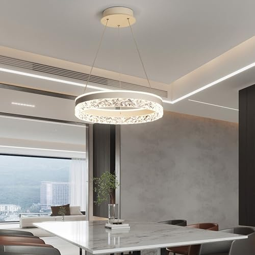 Deliouay LED Pendelleuchte Esstisch Hängelampe Rund Hängend Lampe Modern Ring Hängeleuchte Dimmbar Esstischlampe mit Fernbedienung Pendellampe für Wohnzimmer Küche Büro Deckenleuchte (Weiß, Ø50cm)