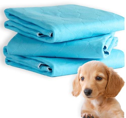 Pet Impact Welpenunterlage, Waschbare Trainingsunterlagen | Hunde Training Pads (3-Pads L, 80x60cm)