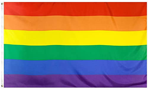 MOGADEE® LGBTQ Flagge, Pride Flag, 150 * 90cm, Regenbogen Flagge, Lebendige Farbe, Kann Drinnen und Draußen Verwendet Werden, Gay Flag, Regenbogenfahne mit 2 Messingösen