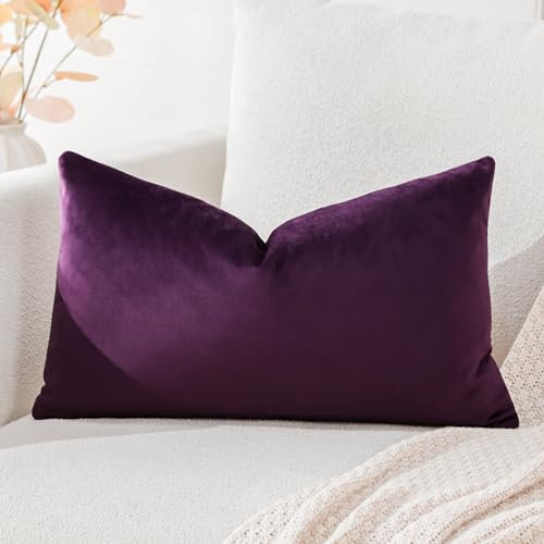 Artscope Luxury Velvet Cushion Covers Super Soft Decorative Throw Pillow Covers Case Lumbar Cushion Cases for Sofa Couch Bedroom Car Decor 30x50cm Eggplant Purple