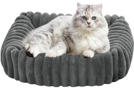Hundesofa, waschbar, Katzenbetten für Haus, Haustierkissen, weiches Katzensofa für Zuhause, Terrasse, Auto, Wohnung, täglich, Boden, Camping, Outdoor, Reisen