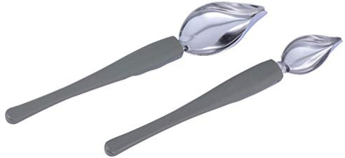 HEMOTON 2 Stück Saucier Löffel Edelstahl Niesellöffel Untertasse mit konischem Auslauf Dessertlöffel Dekorationslöffel Tropfen für Präzises Zeichnen Weihnachten Party Tortendeko Silber
