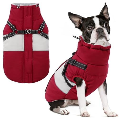 AOFITEE Hundejacke Kleine Hunde, Warm Hundemantel Winter Wasserdicht Hundemantel mit Geschirr, Reflektierende Winterjacke Wintermantel Hund mit Brustgurt Fleecemantel Hundepullover für Kaltes Wetter