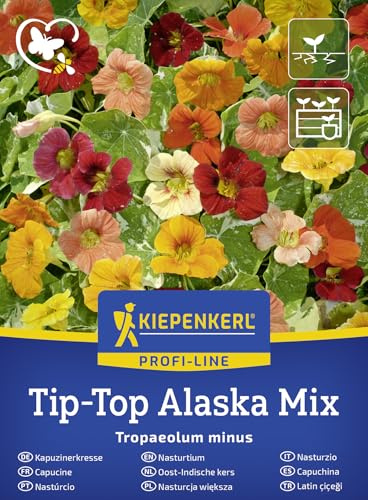 Kiepenkerl Kapuzinerkressesamen Tip-Top Alaska Mix 50936 - weiß-marmorierte Blättern, bunte Blüten, ideal für Balkon, Garten, Kübel, Hochbeet, bienenfreundlich, lange Blüte, Trockenheitstolerant