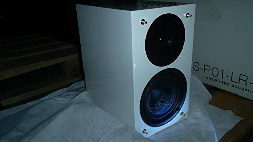 Pioneer
