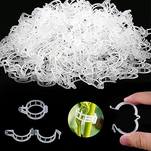 YeahBoom 250 Pieces Clips Tomate pour Plantes,Plant Support Clips de Jardin,Tomates Clips de Support de Plantes ​Clip,Clips de Support de Plantes pour légumes, tomates, et Plants de vignes
