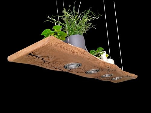 FRIESENLICHT TAKO LED Esstischlampe GU10 Pendelleuchte Unikat Wildeiche mit Baumkante Holz Hängelampe Hängeleuchte Led Vintage Set Leuchte Lampe Eiche geölt Massiv (120 cm/5 Spots)