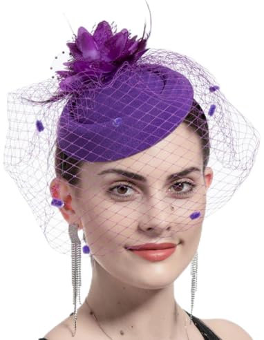LUMoony Fascinator Hüte Hut Damen Mesh Federn Clip Brautschleier Kopfschmuck mit Federn Brautschleier Mesh Gesichtsschleier Haar Clip Hüte Vintage Hochzeit Haarschmuck Haar- Zubehör