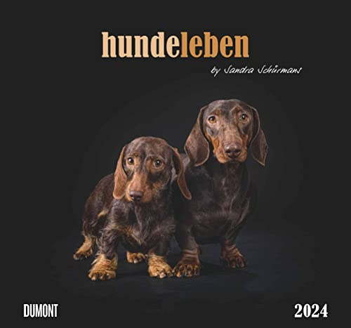 Hundeleben 2024 - DUMONT Wandkalender - mit den wichtigsten Feiertagen - Format 38,0 x 35,5 cm: by Sandra Schürmans