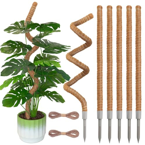 Ledanba Confezione da 6 pali di muschio, 81,5 cm, per piante monstera, pali di muschio pieghevoli per piante rampicanti Monstera, supporto per piante rampicanti per piante rampicanti che crescono