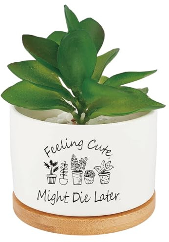 CRASPIRE Macetas Cerámica Blanca Divertidas Macetas Suculentas Cactus Flores Drenaje Plantas Interior Y Exterior Decoración Escritorio Única Regalo Sensación Ternura Podría Morir Después (Sin Plantas)