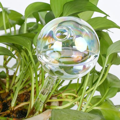 3er Set Bewässerungskugeln Glas 150ml,Selbstbewässernde Glühbirnen automatische Pflanzenbewässerung für Pflanzen, leicht schillernder Regenbogen-Farbverlauf Wasserspender zur Bewässerung inkl